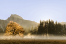 October 2016 Photo Contest 2nd Place Prize Winner