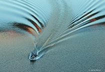 November 2016 Photo Contest 2nd Place Prize Winner