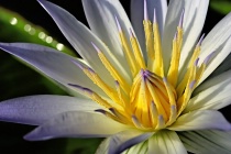 November 2016 Photo Contest 2nd Place Prize Winner