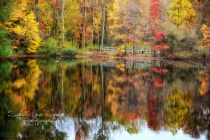 November 2016 Photo Contest 2nd Place Prize Winner
