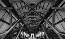 November 2016 Photo Contest 2nd Place Prize Winner