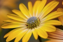November 2016 Photo Contest 2nd Place Prize Winner