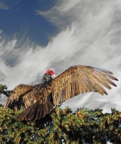 December 2016 Photo Contest 2nd Place Prize Winner