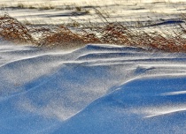 December 2016 Photo Contest 2nd Place Prize Winner