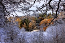 February 2017 Photo Contest 2nd Place Prize Winner