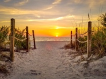 May 2018 Photo Contest 2nd Place Prize Winner