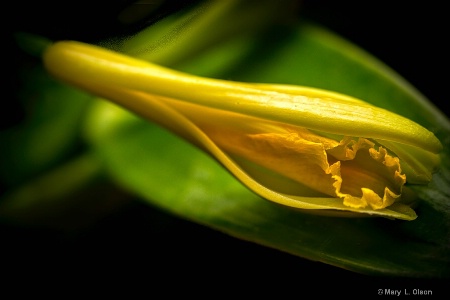 February 2017 Photo Contest 1st Place Prize Winner