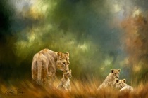 February 2017 Photo Contest 2nd Place Prize Winner