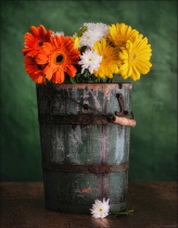 February 2017 Photo Contest 2nd Place Prize Winner