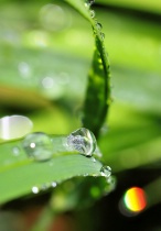 February 2017 Photo Contest 2nd Place Prize Winner