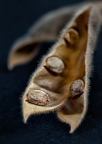 March 2017 Photo Contest 2nd Place Prize Winner