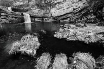March 2017 Photo Contest 2nd Place Prize Winner