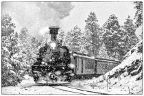 March 2017 Photo Contest 2nd Place Prize Winner