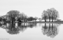 March 2017 Photo Contest 2nd Place Prize Winner