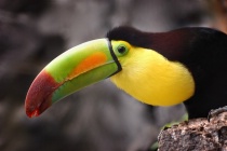 May 2017 Photo Contest 2nd Place Prize Winner
