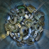 June 2017 Photo Contest 2nd Place Prize Winner