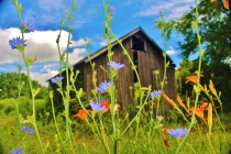 July 2017 Photo Contest 2nd Place Prize Winner