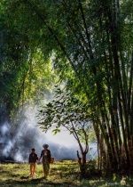 August 2017 Photo Contest 2nd Place Prize Winner