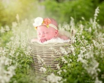 August 2017 Photo Contest 2nd Place Prize Winner