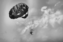 January 2019 Photo Contest 2nd Place Prize Winner