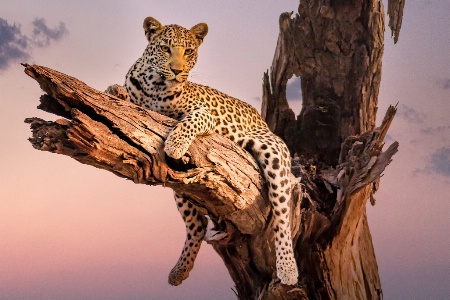August 2017 Photo Contest 1st Place Prize Winner