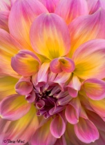 August 2017 Photo Contest 2nd Place Prize Winner