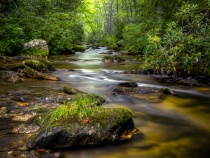 August 2017 Photo Contest 2nd Place Prize Winner