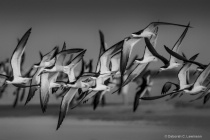 September 2017 Photo Contest 2nd Place Prize Winner