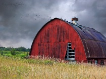 September 2017 Photo Contest 2nd Place Prize Winner
