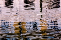 September 2017 Photo Contest 2nd Place Prize Winner