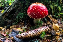 September 2017 Photo Contest 2nd Place Prize Winner