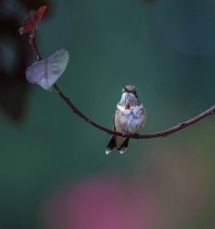 September 2017 Photo Contest 2nd Place Prize Winner