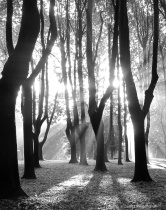 September 2017 Photo Contest 2nd Place Prize Winner