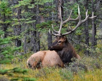 September 2017 Photo Contest 2nd Place Prize Winner