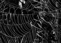 September 2017 Photo Contest 2nd Place Prize Winner