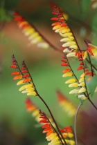 September 2017 Photo Contest 2nd Place Prize Winner
