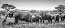 September 2017 Photo Contest 2nd Place Prize Winner