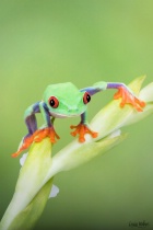 September 2017 Photo Contest 2nd Place Prize Winner