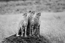 September 2017 Photo Contest 2nd Place Prize Winner