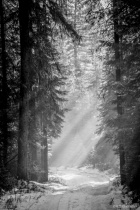 December 2017 Photo Contest 2nd Place Prize Winner