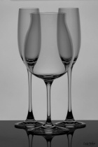 February 2019 Photo Contest 2nd Place Prize Winner