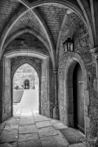 March 2018 Photo Contest 2nd Place Prize Winner