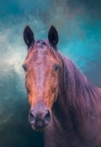 March 2018 Photo Contest 2nd Place Prize Winner