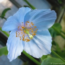 March 2018 Photo Contest 2nd Place Prize Winner