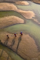 March 2018 Photo Contest 2nd Place Prize Winner