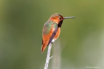March 2018 Photo Contest 2nd Place Prize Winner