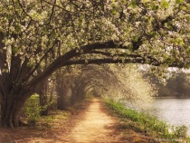 March 2018 Photo Contest 2nd Place Prize Winner