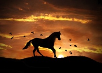 March 2018 Photo Contest 2nd Place Prize Winner