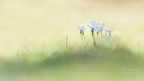 March 2018 Photo Contest 2nd Place Prize Winner
