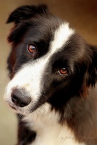 March 2018 Photo Contest 2nd Place Prize Winner